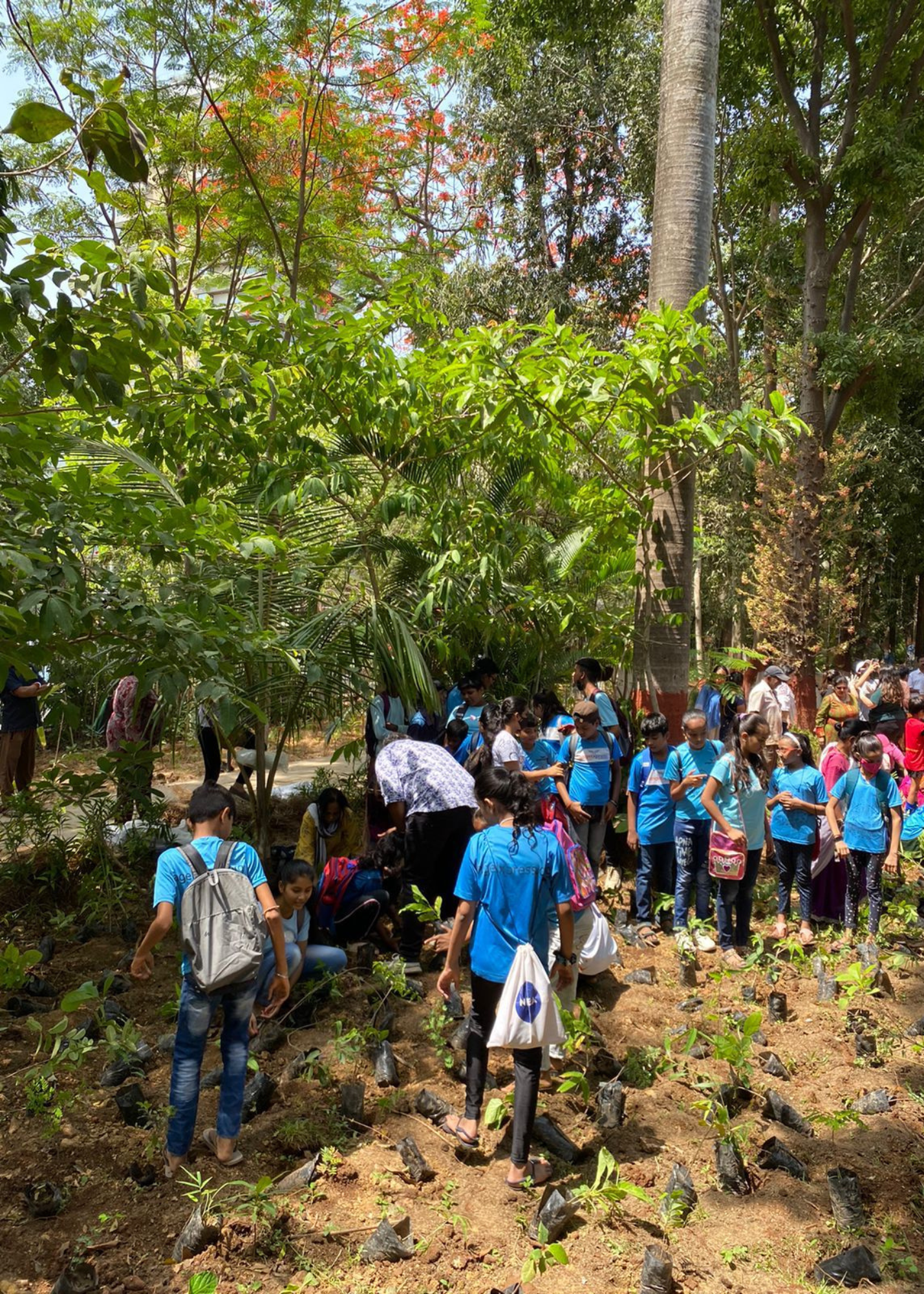 Ador Foundation – Photo 33